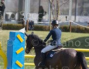 Offel Pour Le Poussage TosTour2013- S5 2396 : Arezzo, Arezzo Equestrian Centre, Offel Katarina, Pour le Poussage, Toscana Tour 2013, foto di Stefano Secchi ©
